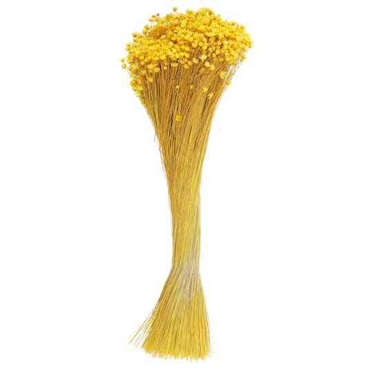 Yellow Campo Flowers Decorative Naturals by Ashland&#xAE;